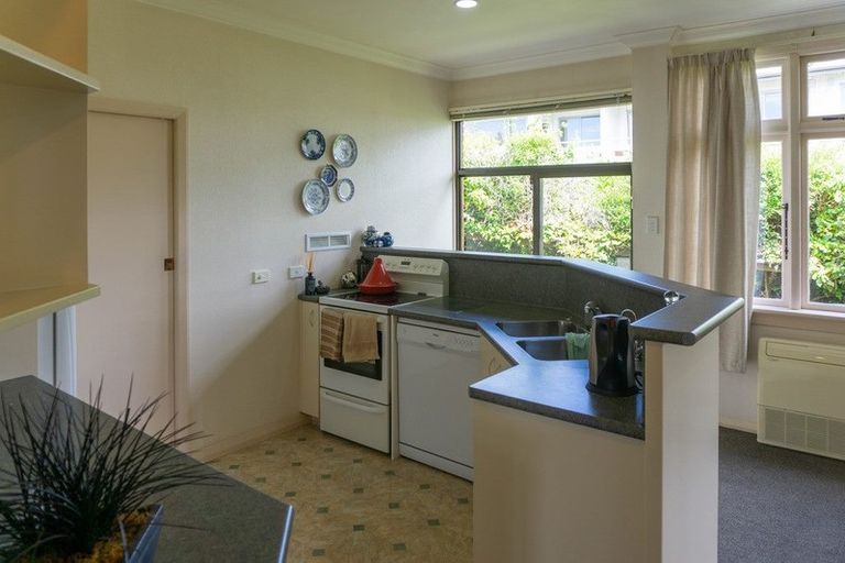 Photo of property in 21 Sheen Street, Roslyn, Dunedin, 9010