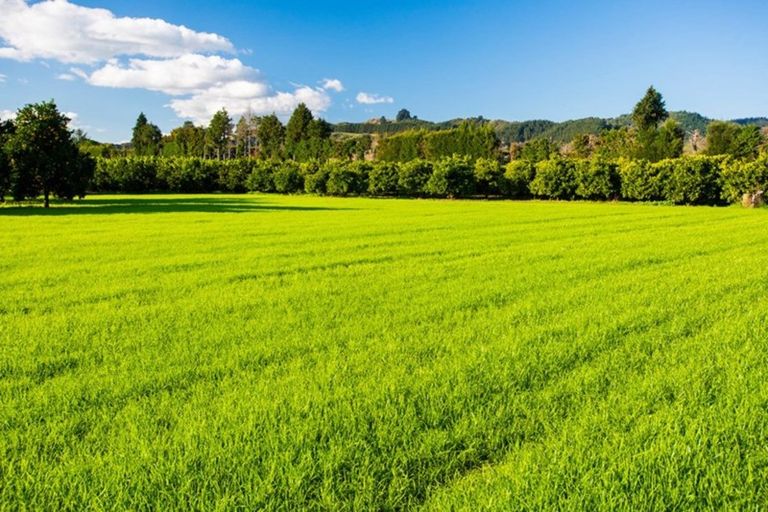 Photo of property in 54 Bruce Road, Ormond, Gisborne, 4071