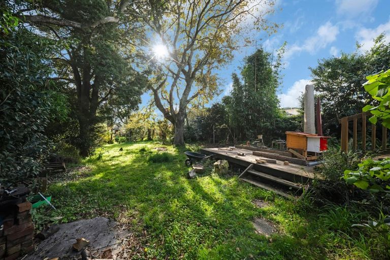 Photo of property in 117 Hutchinson Avenue, New Lynn, Auckland, 0600