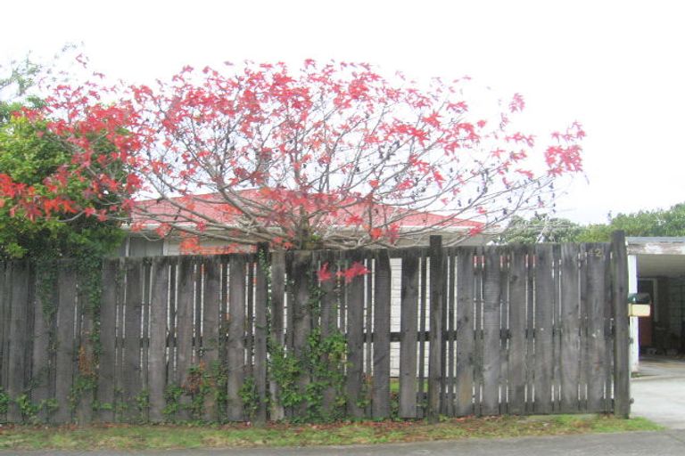 Photo of property in 40 Desert Gold Street, Ascot Park, Porirua, 5024