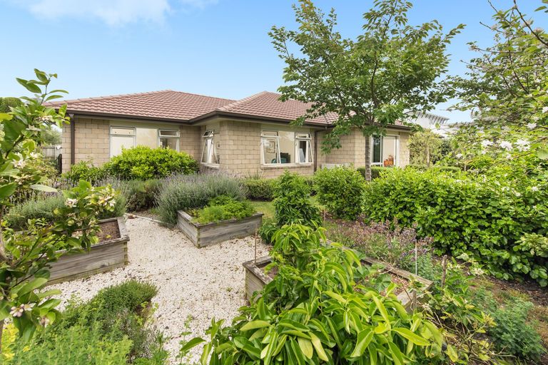 Photo of property in 119 Oriental Parade, Papamoa Beach, Papamoa, 3118