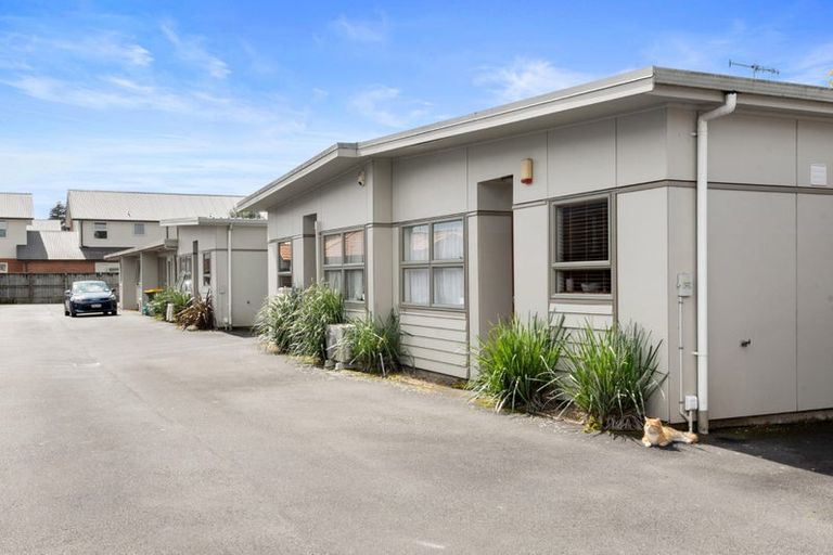 Photo of property in 8e Ford Street, Hamilton East, Hamilton, 3216