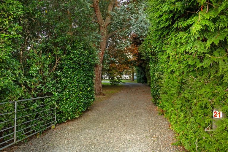 Photo of property in 21 Donovans Road, Kopuaranga, Masterton, 5882