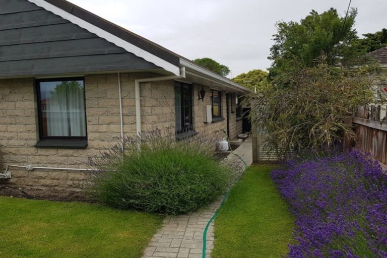 Photo of property in 99a Centennial Avenue, Alexandra, 9320