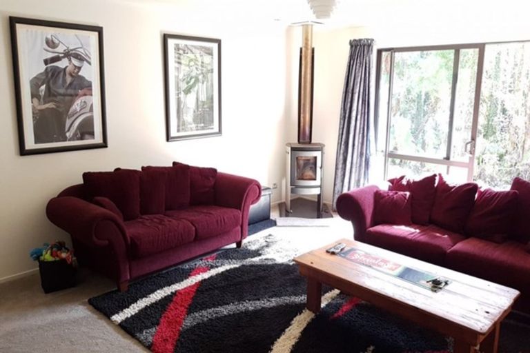 Photo of property in 15 Sanctuary Place, Kumara Junction, Hokitika, 7882