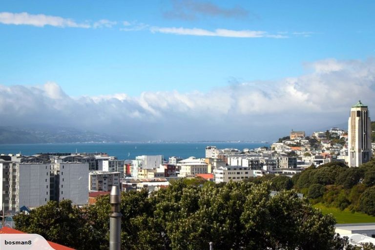 Photo of property in 53 Hankey Street, Mount Cook, Wellington, 6011