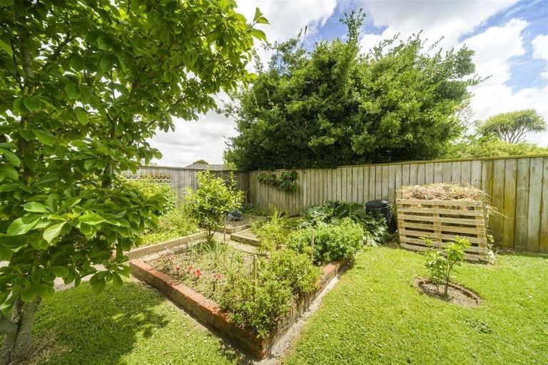 Photo of property in 11 Park Road, West End, Palmerston North, 4412