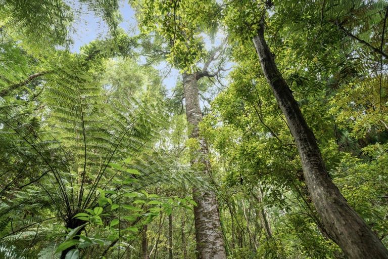 Photo of property in 112 Hikuai School Road, Hikuai, 3579