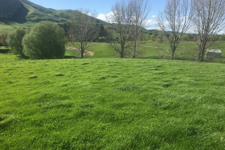 Photo of property in 360 Longbush Road, Hinakura, Longbush, 5884