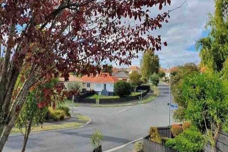 Photo of property in 46 Plunket Terrace, Hamilton East, Hamilton, 3216