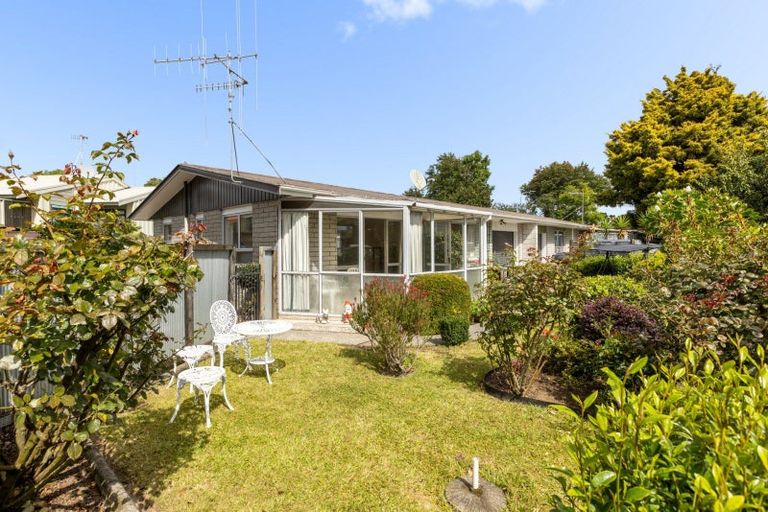 Photo of property in 119b Otumoetai Road, Brookfield, Tauranga, 3110