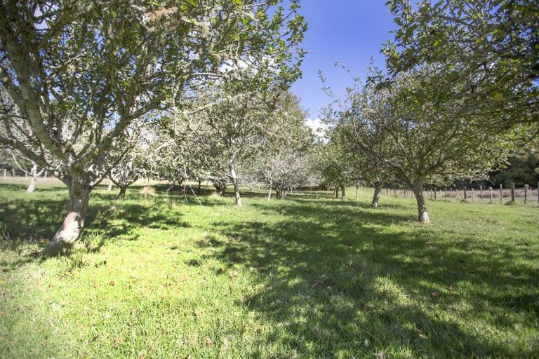 Photo of property in 744 Karaka Road, Tangowahine, Dargaville, 0372