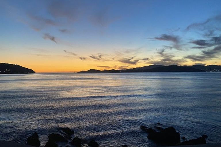 Photo of property in 603a Marine Drive, Days Bay, Lower Hutt, 5013