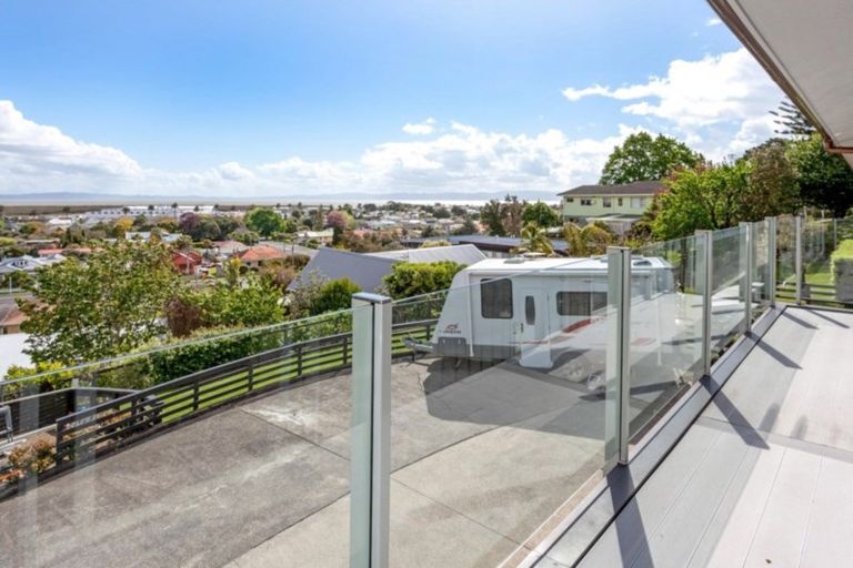 Photo of property in 111 Brunton Crescent, Thames, 3500