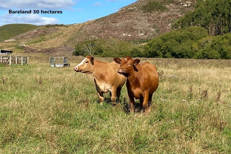 Photo of property in 21 Patterson Road, Goodwood, Palmerston, 9481