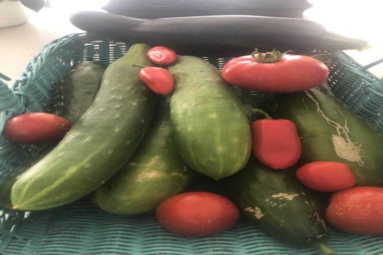 Photo of property in 2 Te Ara Karoiroa Road, Hurford, New Plymouth, 4374