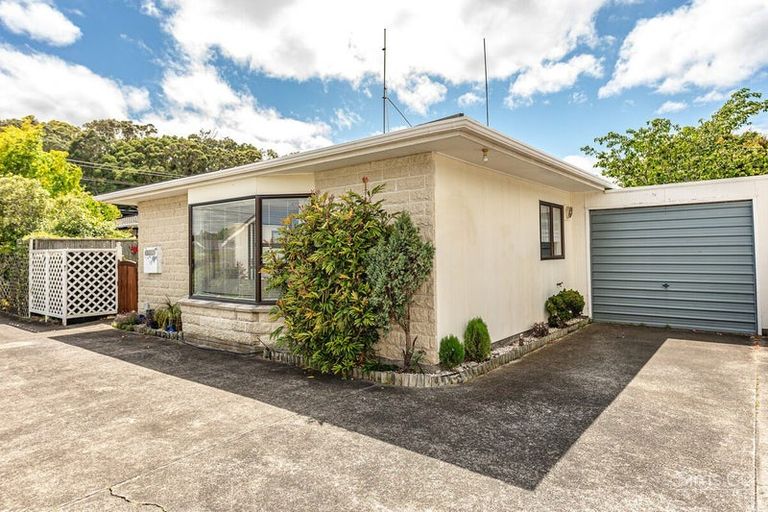Photo of property in 19b Fergusson Street, Springvale, Whanganui, 4501