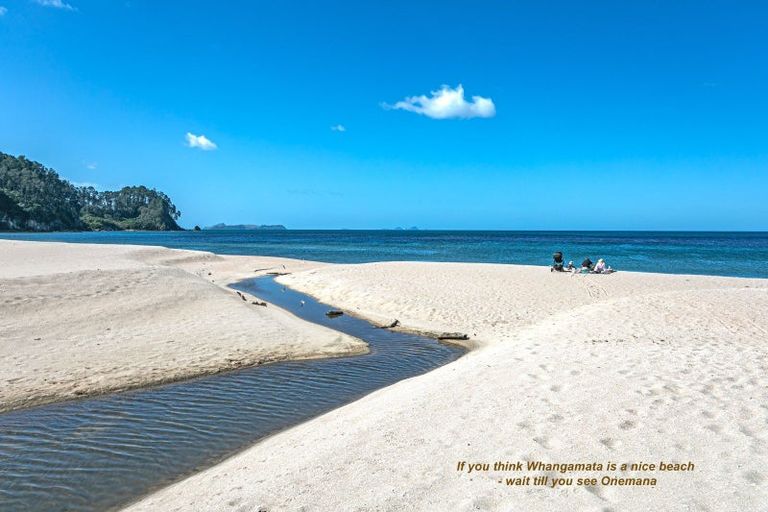 Photo of property in 226 Onemana Drive, Onemana, Whangamata, 3691