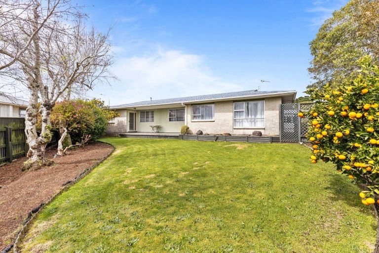 Photo of property in 10 Leon Place, Waitara, 4320