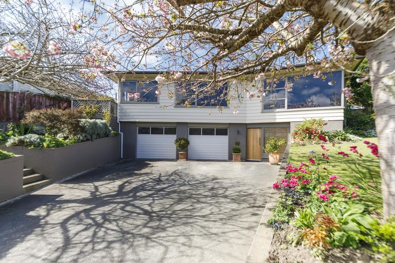 Photo of property in 38 Winston Avenue, Hokowhitu, Palmerston North, 4410