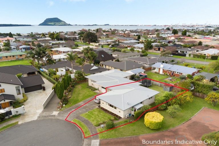 Photo of property in 11 Carol Place, Otumoetai, Tauranga, 3110