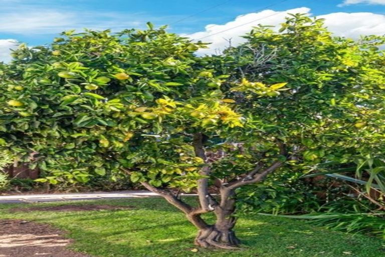 Photo of property in 1/84 Nile Road, Milford, Auckland, 0620