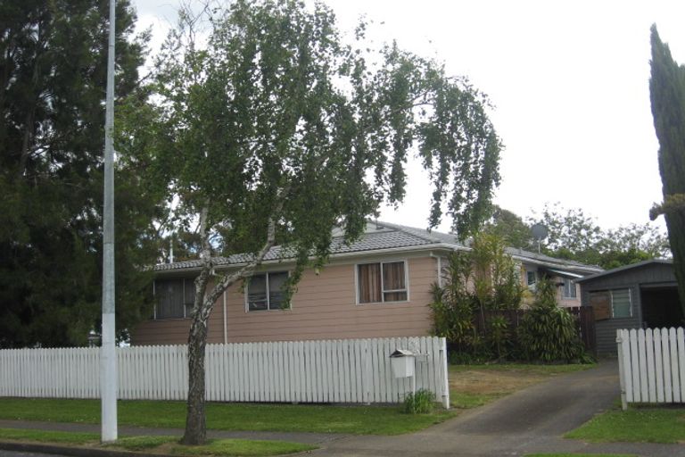 Photo of property in 213 Wordsworth Road, Clendon Park, Auckland, 2103