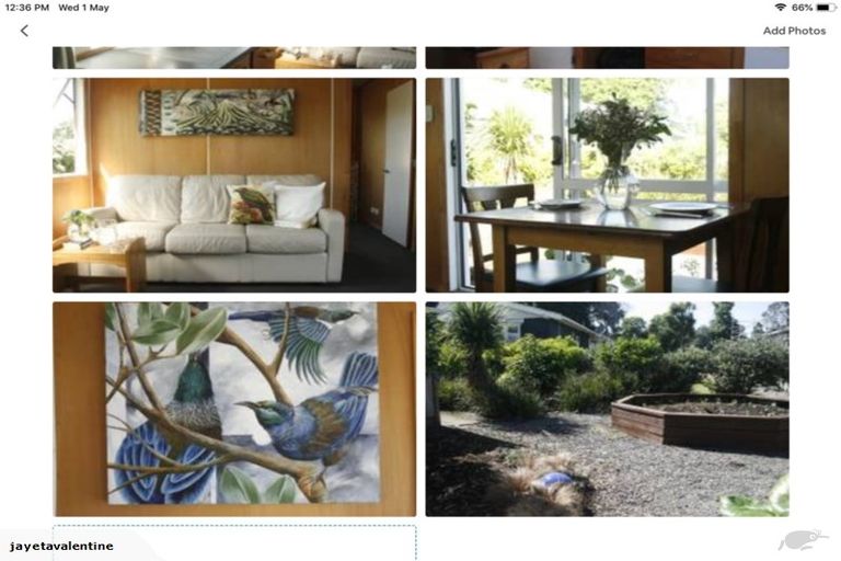 Photo of property in 49 Huatoki Street, Vogeltown, New Plymouth, 4310