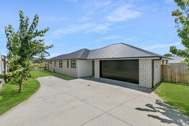 Photo of property in 8c No 2 Road, Te Puke, 3119