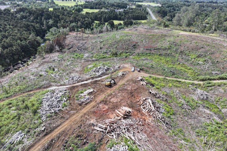 Photo of property in 126 Kerikeri Road, Kerikeri, 0230