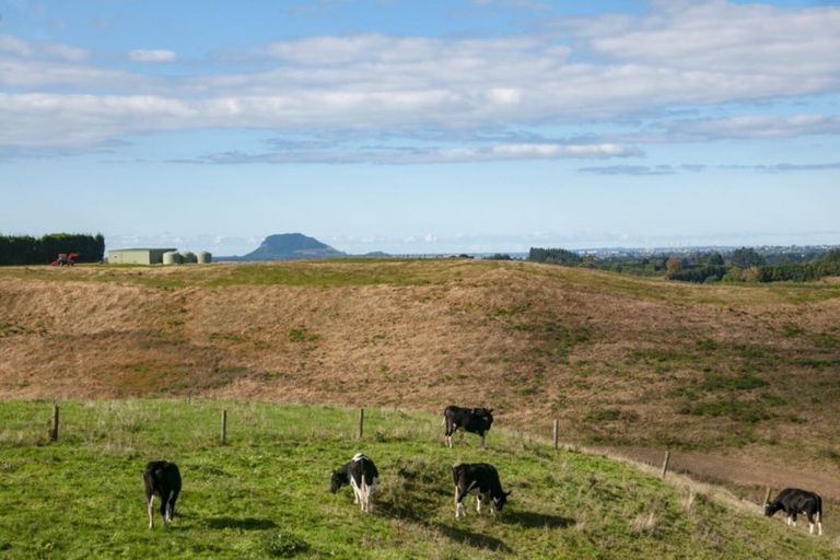 Photo of property in 265 Youngson Road, Whakamarama, Tauranga, 3179