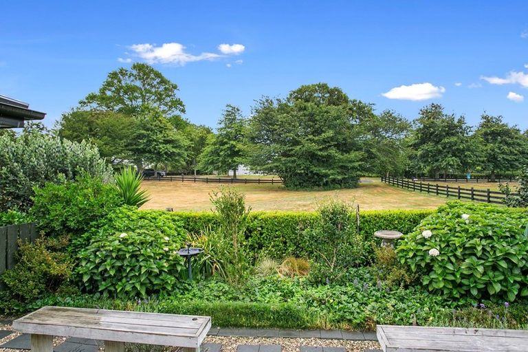 Photo of property in 16 Mckenzie Place, Matamata, 3400