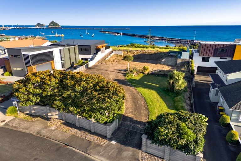 Photo of property in 38 Birdwood Avenue, Moturoa, New Plymouth, 4310