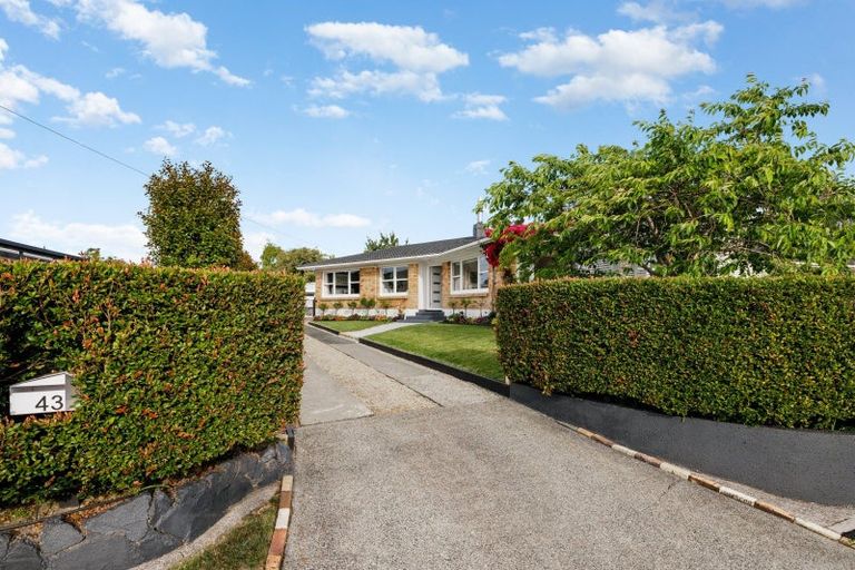 Photo of property in 43 Berkley Avenue, Hillcrest, Hamilton, 3216