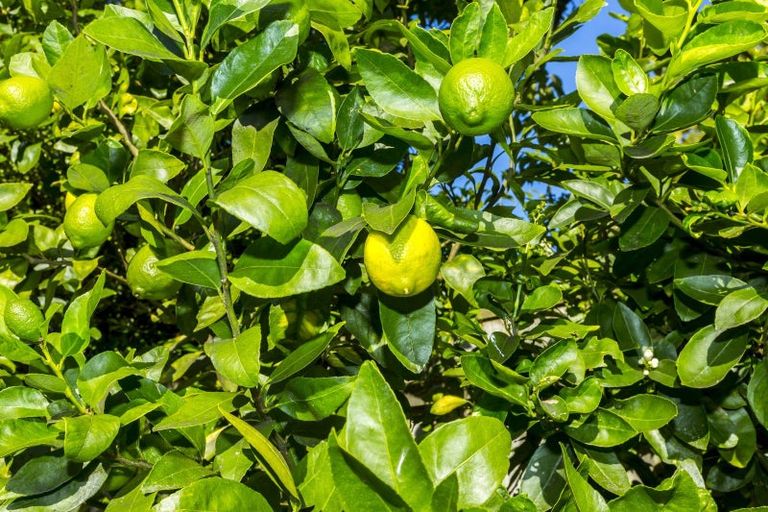 Photo of property in 16 Akatarawa Road, Brown Owl, Upper Hutt, 5018