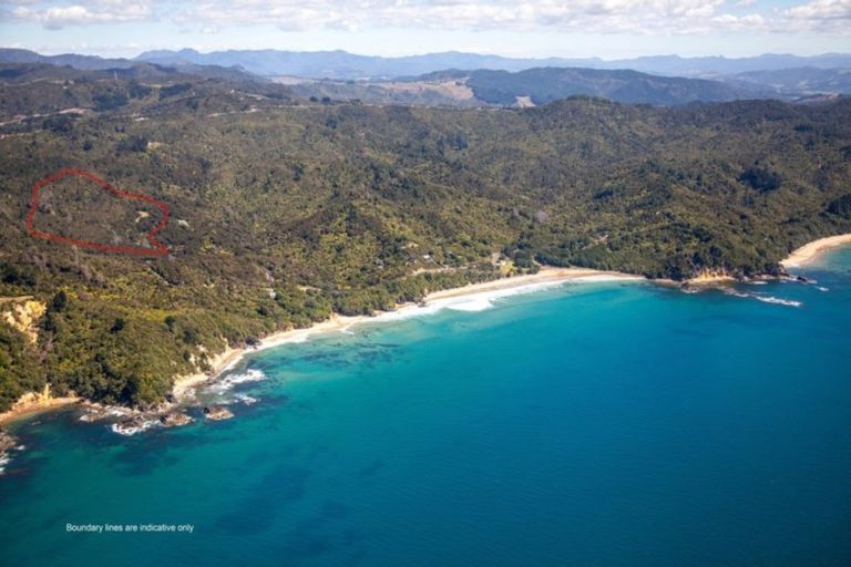 Photo of property in 125b Sailors Grave Road, Pumpkin Hill, Whitianga, 3591