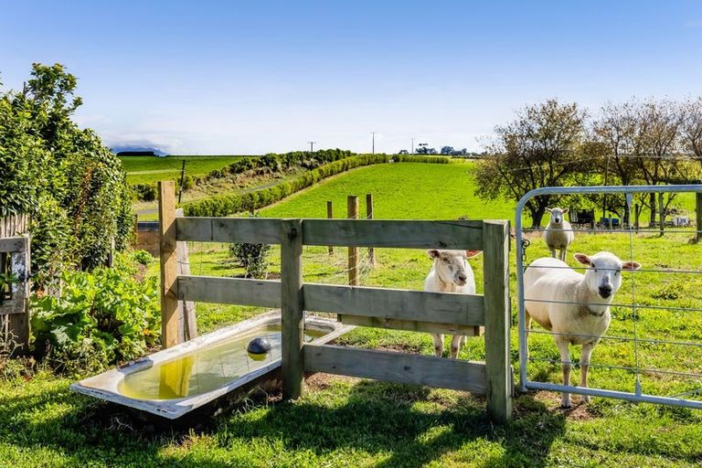 Photo of property in 67 Hurley Road, Hurleyville, Patea, 4598