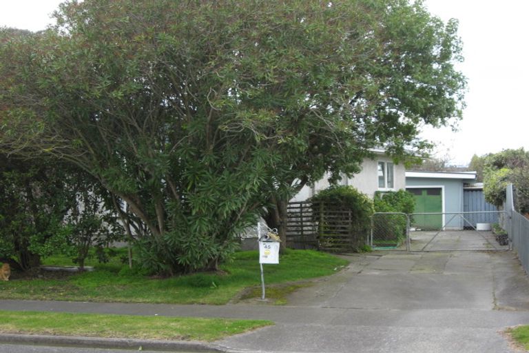 Photo of property in 45 Downing Avenue, Pirimai, Napier, 4112