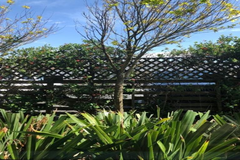 Photo of property in 1/111 Nile Street, Nelson, 7010