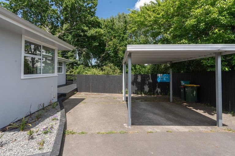 Photo of property in 119c Rimu Street, Maeroa, Hamilton, 3200