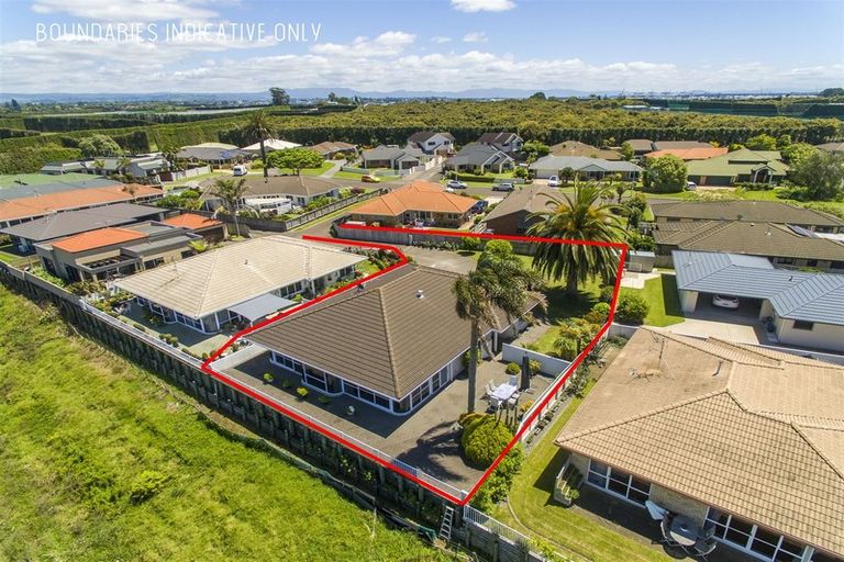 Photo of property in 7 Phoenix Heights, Mount Maunganui, 3116
