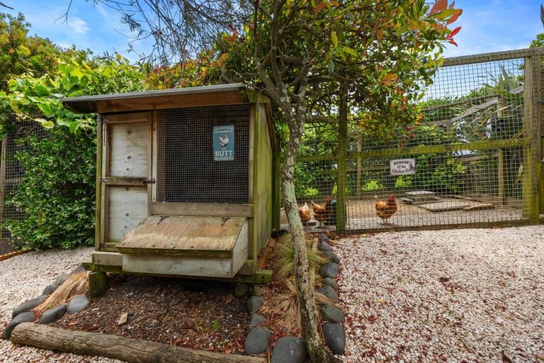 Photo of property in 1611 Kaipara Coast Highway, Kaukapakapa, 0984