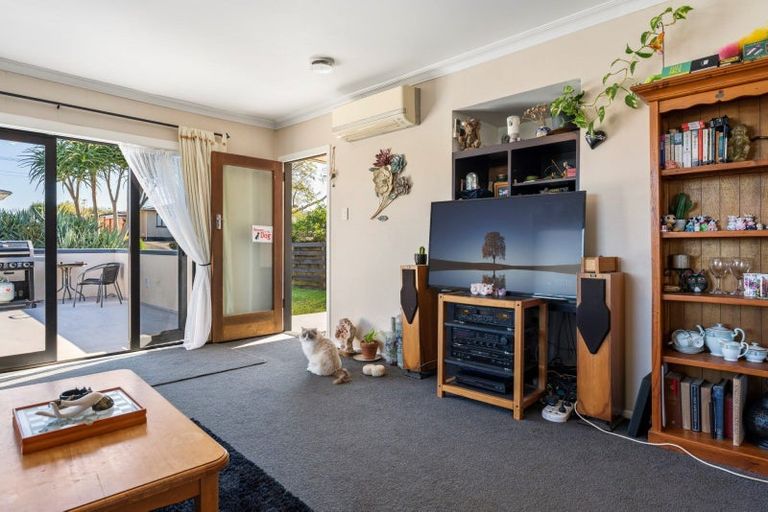 Photo of property in 50 Carlisle Street, Greerton, Tauranga, 3112