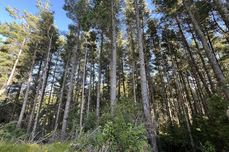 Photo of property in 432 State Highway 6, Coal Creek, Greymouth, 7802