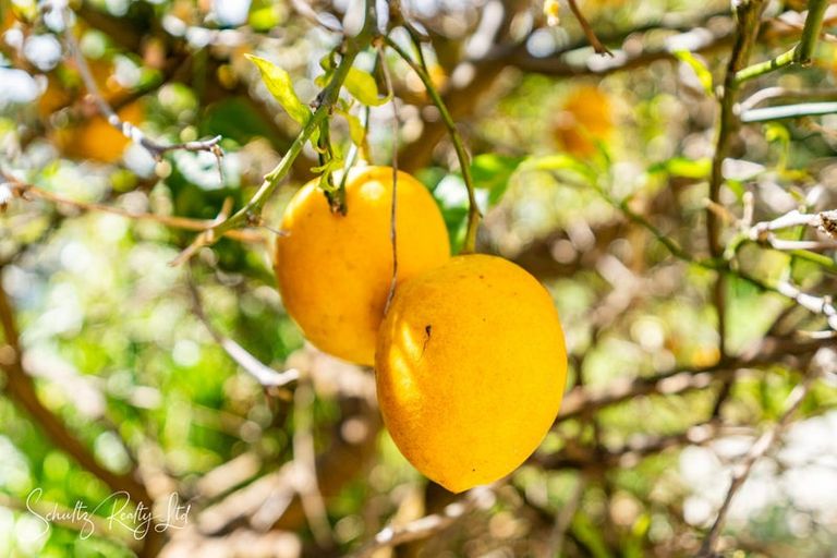 Photo of property in 5a Whaka Street, Maungaturoto, 0520