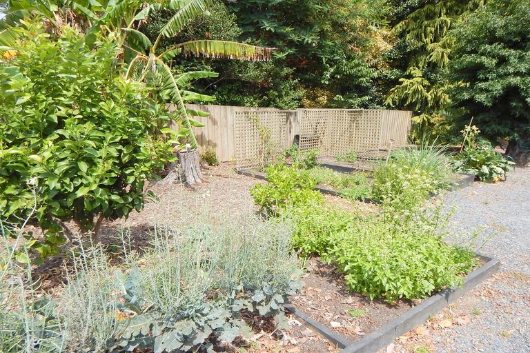 Photo of property in 3 Pungaere Road, Waipapa, 0295