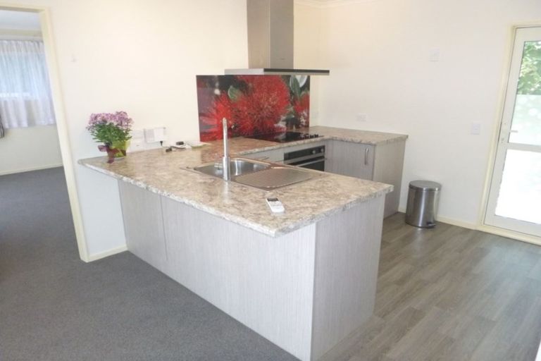 Photo of property in 282a Oxford Terrace, Avalon, Lower Hutt, 5011