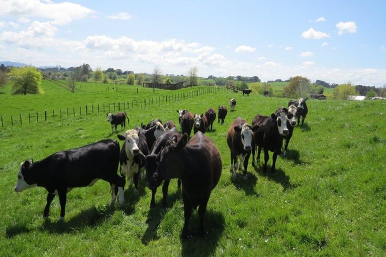 Photo of property in 103 Jury Road, Ngahinapouri, Hamilton, 3290