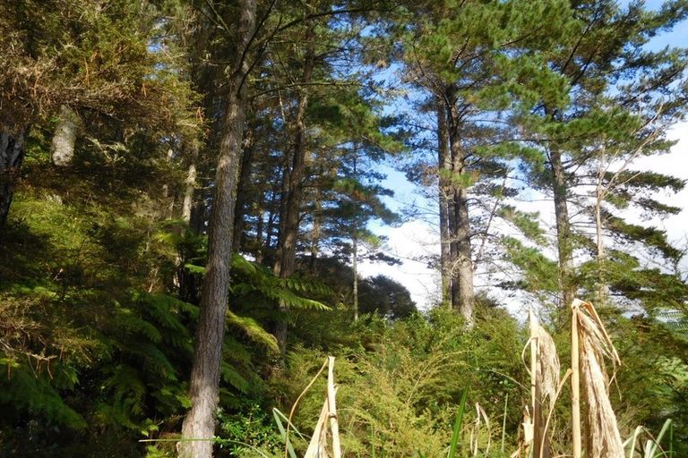 Photo of property in 195 Kapowai Road, Whenuakite, Whitianga, 3591