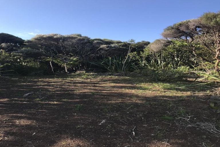 Photo of property in 6 Log Race Road, Piha, New Lynn, 0772